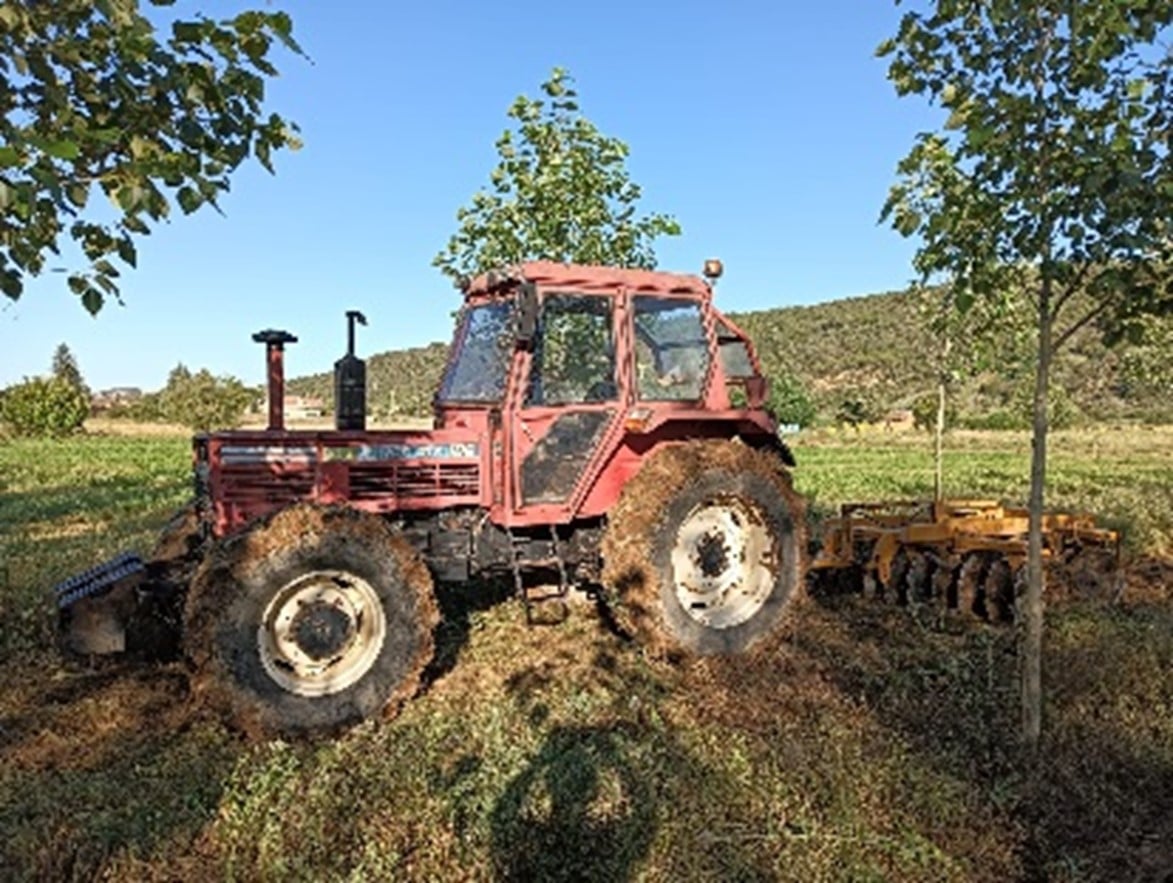 Reforestación y mantenimiento de plantaciones en Asturias